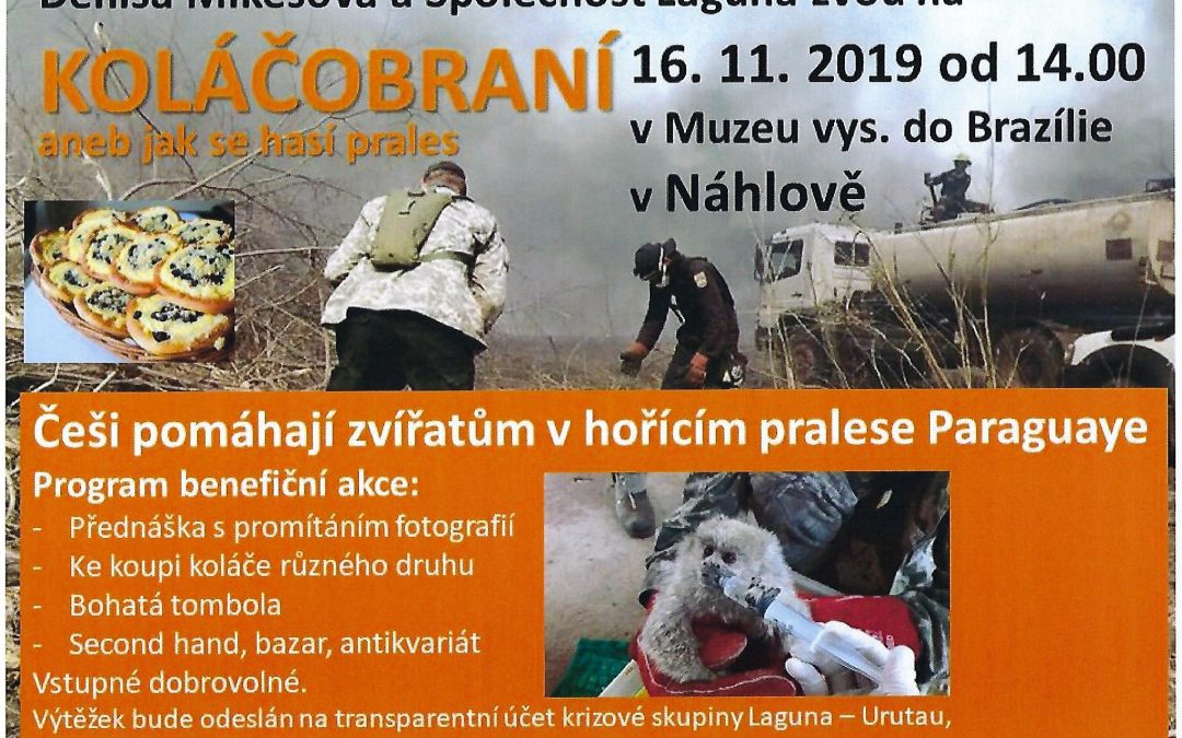 KOLÁČOBRANÍ aneb jak se hasí prales