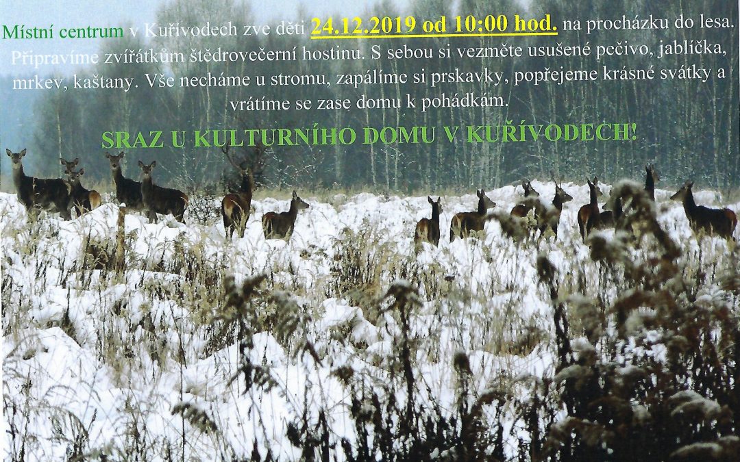 Pozvánka na procházku do lesa